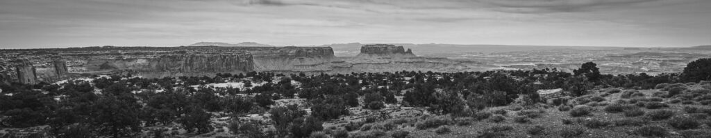 EnviraGallery-headerpic-09. April 2022 - IRN06279- 07.jpg