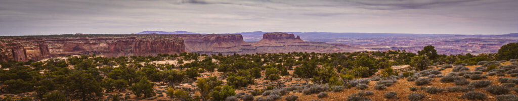 EnviraGallery-headerpic-09. April 2022 - IRN06279- 163.jpg