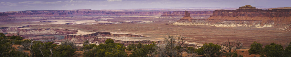 EnviraGallery-headerpic-09. April 2022 - IRN06282- 01.jpg