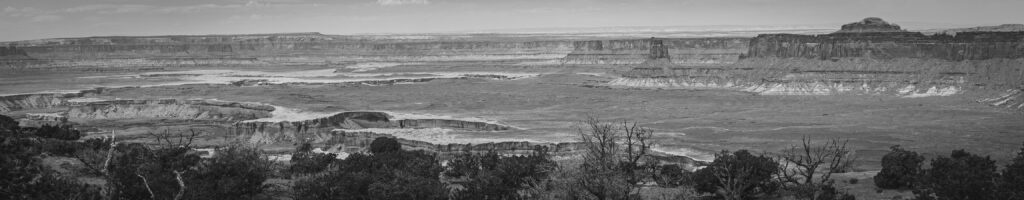 EnviraGallery-headerpic-09. April 2022 - IRN06282- 08.jpg