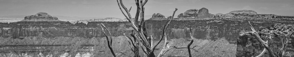 EnviraGallery-headerpic-09. April 2022 - IRN06301- 02.jpg