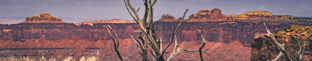 EnviraGallery-headerpic-09. April 2022 - IRN06301- 05.jpg