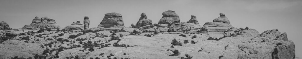 EnviraGallery-headerpic-10. April 2022 - IRN06318- 04.jpg
