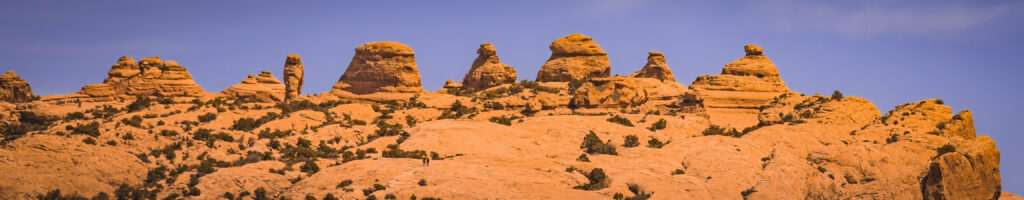 EnviraGallery-headerpic-10. April 2022 - IRN06318- 07.jpg