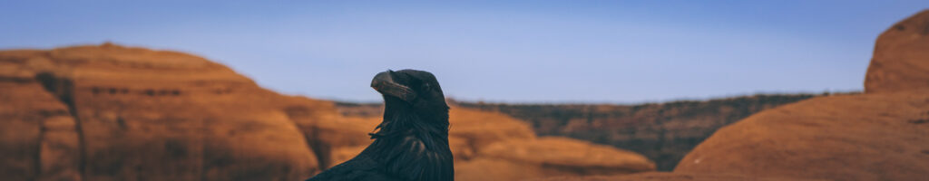 EnviraGallery-headerpic-10. April 2022 - IRN06376- 11.jpg