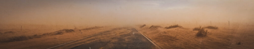 EnviraGallery-headerpic-11. April 2022 - GX100962-1- 02.jpg