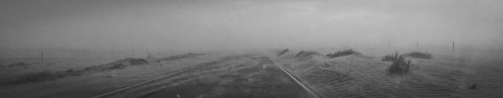 EnviraGallery-headerpic-11. April 2022 - GX100962-1- 04.jpg