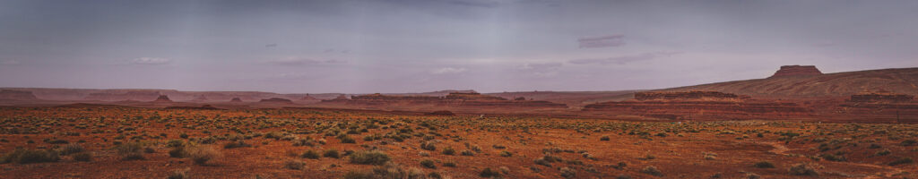 EnviraGallery-headerpic-11. April 2022 - IRN06521-Pano- 01.jpg