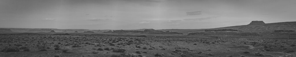 EnviraGallery-headerpic-11. April 2022 - IRN06521-Pano- 03.jpg