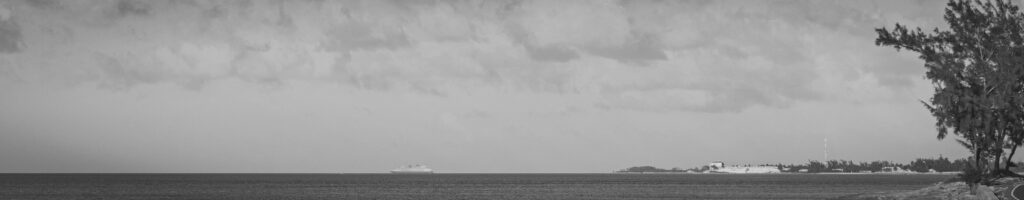 EnviraGallery-headerpic-11. März 2022 - IRN04590- 12.jpg