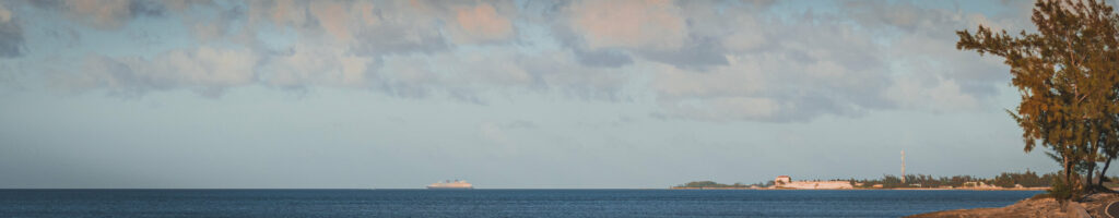EnviraGallery-headerpic-11. März 2022 - IRN04590- 25.jpg