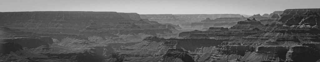 EnviraGallery-headerpic-12. April 2022 - IRN06565- 06.jpg