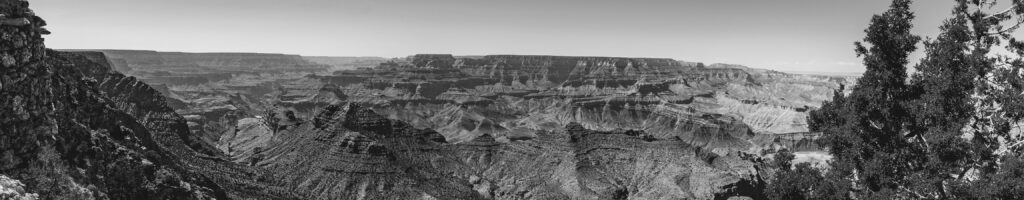 EnviraGallery-headerpic-12. April 2022 - IRN06583-Pano- 09.jpg