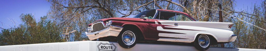 EnviraGallery-headerpic-13. April 2022 - IRN06593- 06.jpg