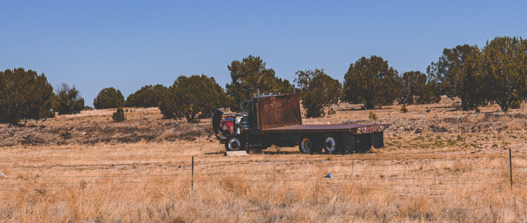 EnviraGallery-headerpic-13. April 2022 - IRN06594- 08.jpg