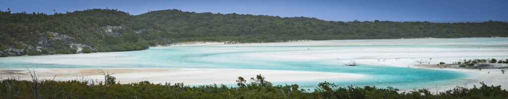 EnviraGallery-headerpic-13. März 2022 - IRN04675- 30.jpg