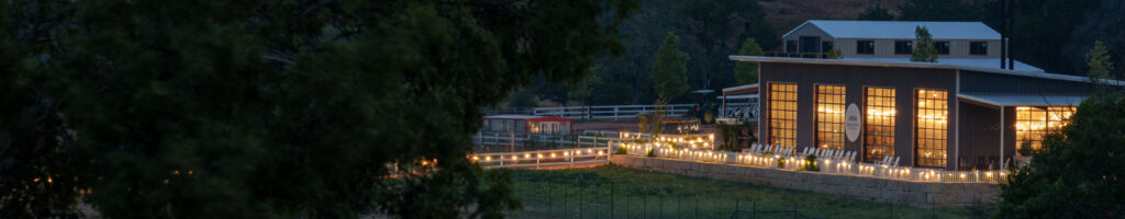 EnviraGallery-headerpic-14. September 2023 - A6_00697-Verbessert-RR- 03.jpg