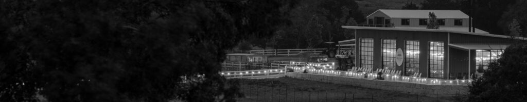 EnviraGallery-headerpic-14. September 2023 - A6_00697-Verbessert-RR- 06.jpg
