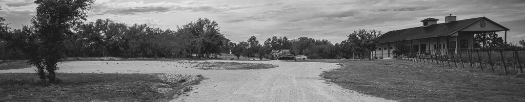 EnviraGallery-headerpic-15. September 2023 - IMG_3166-1- 02.jpg