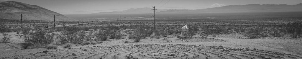 EnviraGallery-headerpic-16. April 2022 - IRN06698- 04.jpg