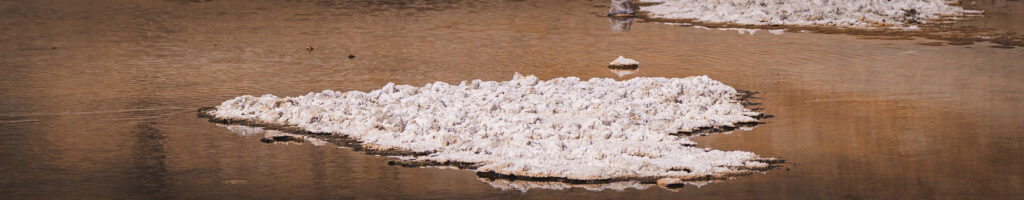 EnviraGallery-headerpic-16. April 2022 - IRN06726- 04.jpg