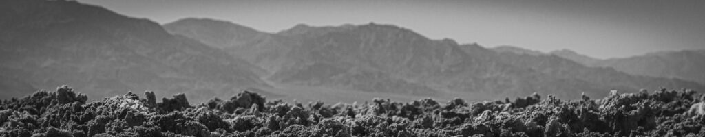 EnviraGallery-headerpic-16. April 2022 - IRN06730- 08.jpg