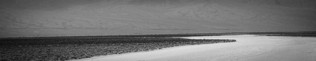 EnviraGallery-headerpic-16. April 2022 - IRN06736-Bearbeitet- 02.jpg