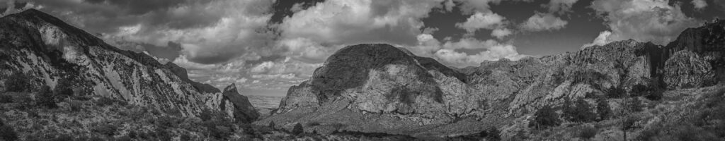 EnviraGallery-headerpic-17. September 2023 - A6_00804-Bearbeitet- 04.jpg