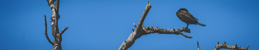 EnviraGallery-headerpic-18. März 2022 - IRN04873- 40.jpg