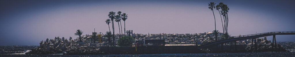 EnviraGallery-headerpic-19. April 2022 - IRN06867- 09.jpg
