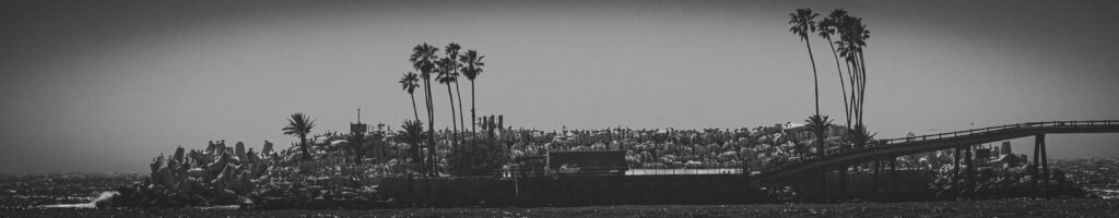 EnviraGallery-headerpic-19. April 2022 - IRN06867- 11.jpg
