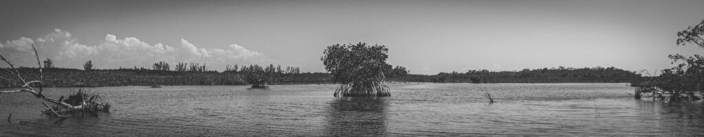 EnviraGallery-headerpic-19. März 2022 - IRN04906- 02.jpg