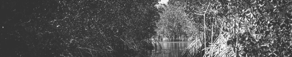 EnviraGallery-headerpic-19. März 2022 - IRN04962- 04.jpg