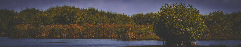 EnviraGallery-headerpic-19. März 2022 - IRN04982- 47.jpg