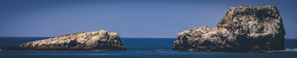 EnviraGallery-headerpic-20. April 2022 - IRN07000- 04.jpg
