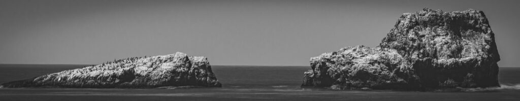 EnviraGallery-headerpic-20. April 2022 - IRN07000- 04.jpg