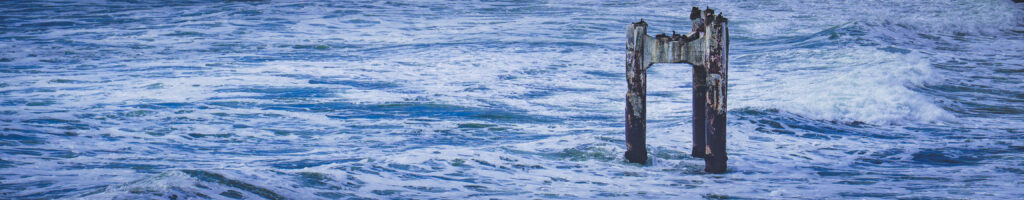 EnviraGallery-headerpic-21. April 2022 - IRN07207- 11.jpg