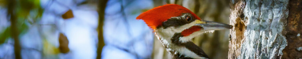 EnviraGallery-headerpic-21. März 2022 - IRN05053- 54.jpg