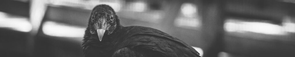 EnviraGallery-headerpic-21. März 2022 - IRN05093- 04.jpg