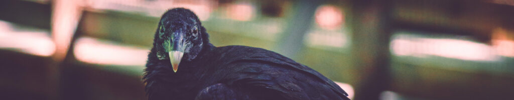 EnviraGallery-headerpic-21. März 2022 - IRN05093- 56.jpg