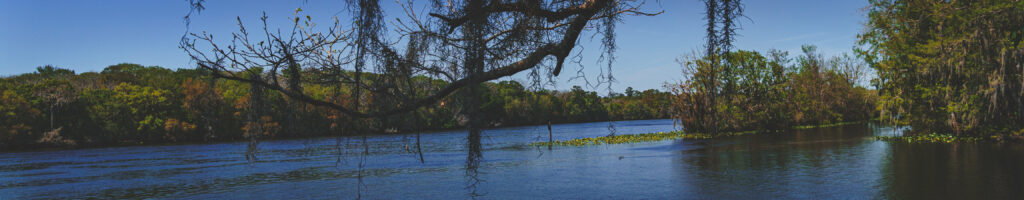 EnviraGallery-headerpic-21. März 2022 - IRN05122- 58.jpg