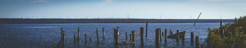 EnviraGallery-headerpic-21. März 2022 - IRN05135- 59.jpg