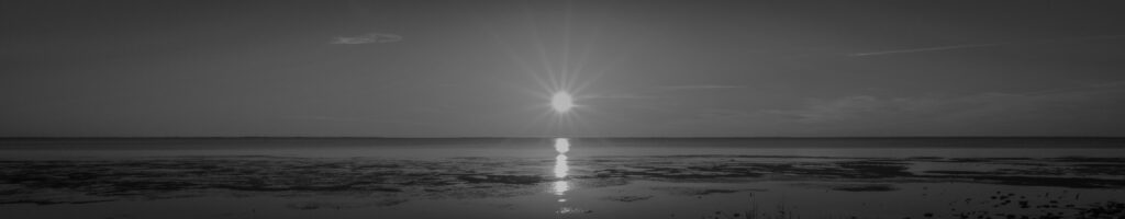 EnviraGallery-headerpic-21. März 2022 - IRN05175- 09.jpg