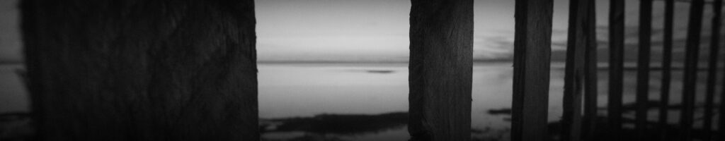 EnviraGallery-headerpic-21. März 2022 - IRN05231- 10.jpg