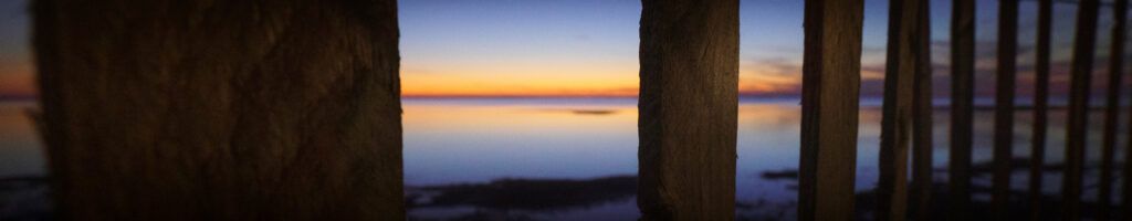 EnviraGallery-headerpic-21. März 2022 - IRN05231- 62.jpg