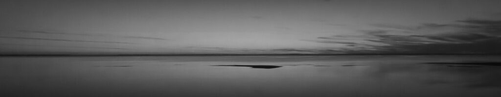 EnviraGallery-headerpic-21. März 2022 - IRN05235- 01.jpg