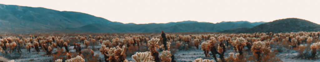 EnviraGallery-headerpic-22. September 2024 - _A6_3967-Verbessert-RR- 01.jpg