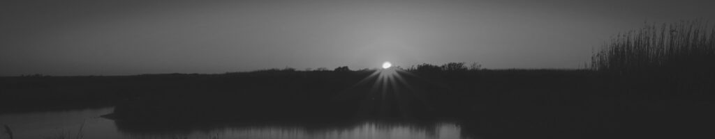 EnviraGallery-headerpic-24. März 2022 - IRN05277- 11.jpg