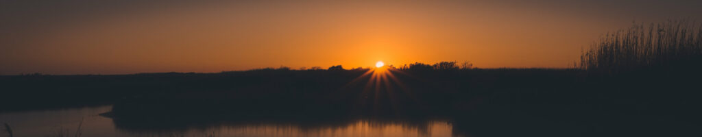 EnviraGallery-headerpic-24. März 2022 - IRN05277- 73.jpg