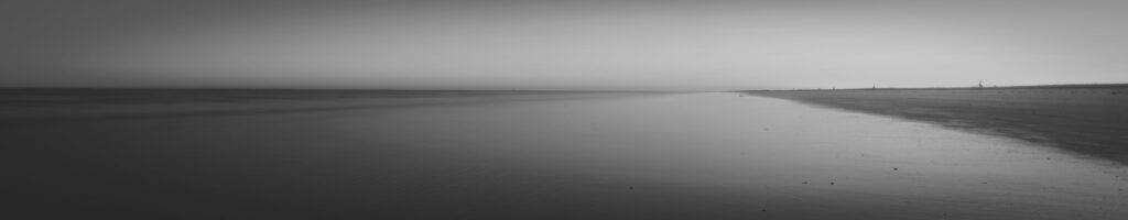 EnviraGallery-headerpic-24. März 2022 - IRN05285-Verbessert-RR-2- 01.jpg